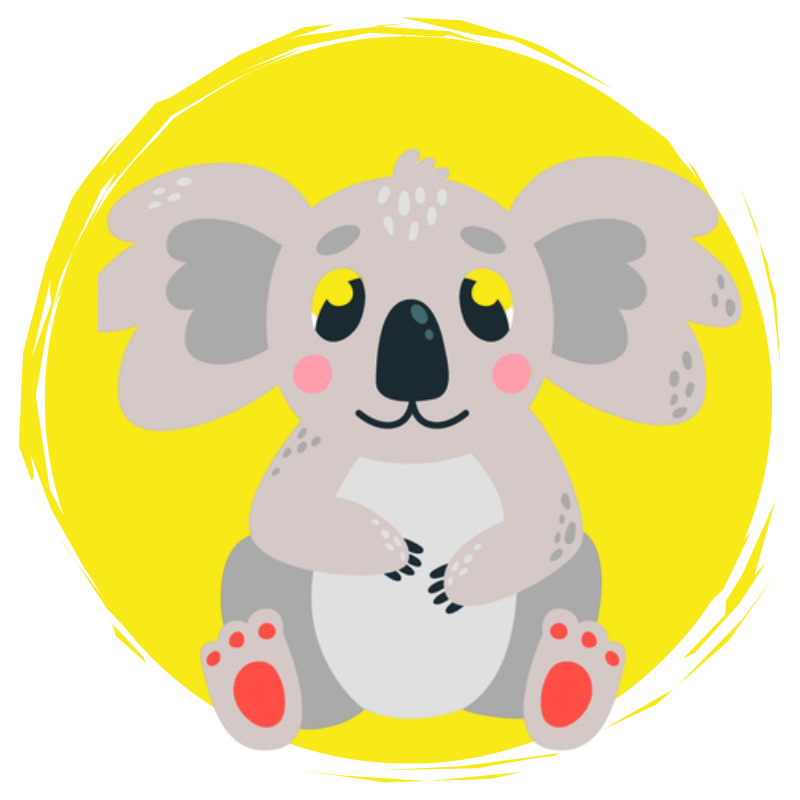Koalas