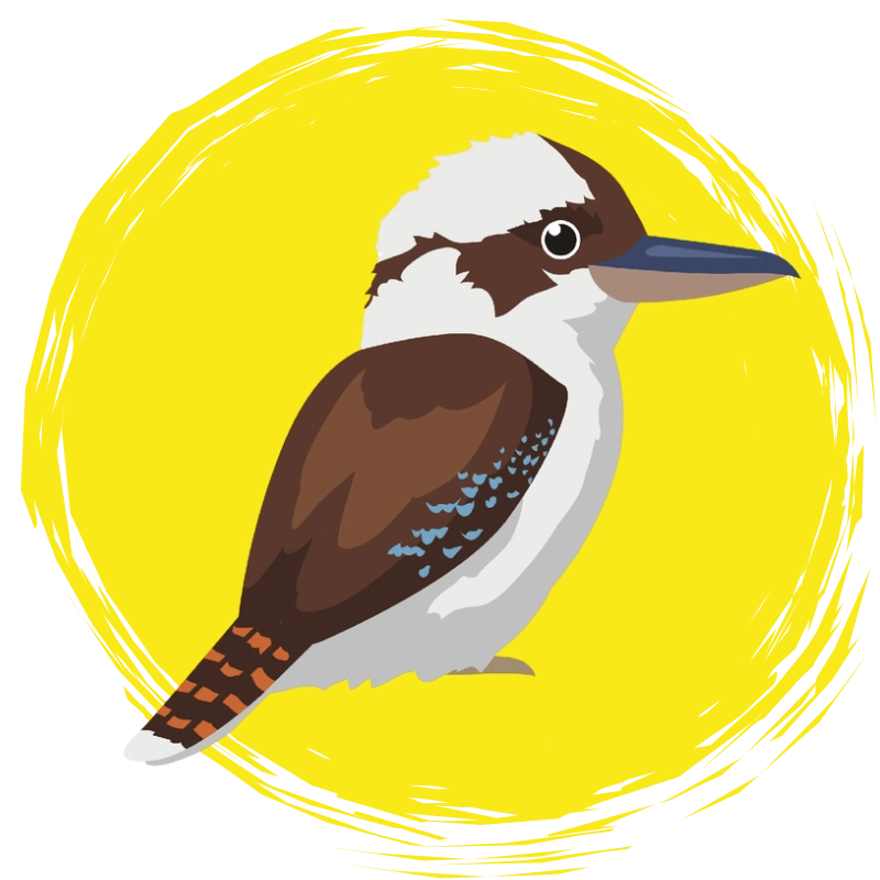 First Connections kookaburra